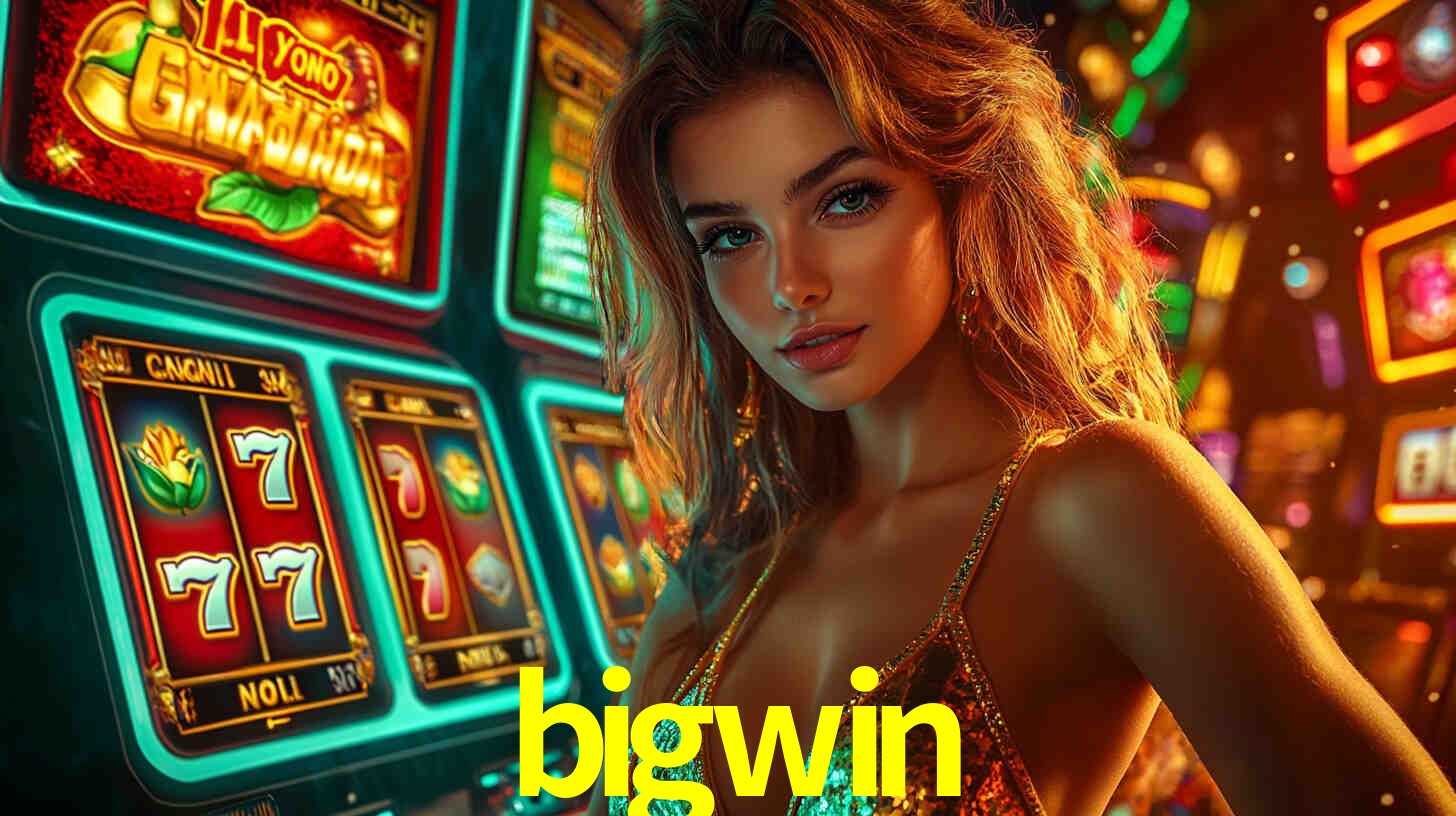 Programa VIP bigwin